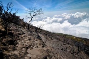 Penampakan puncak Ciremai pasca terbakar.